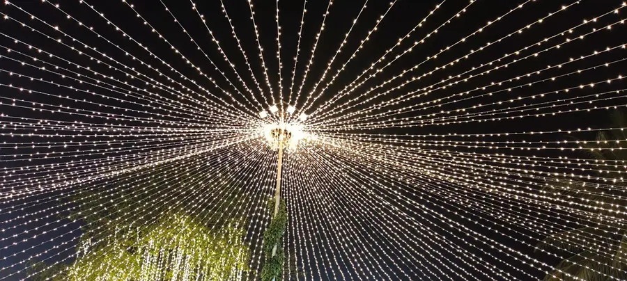 Canopy of fairy lights glowing at night