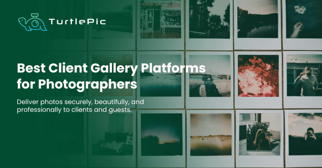 Best Client Gallery Platforms for Photographers
