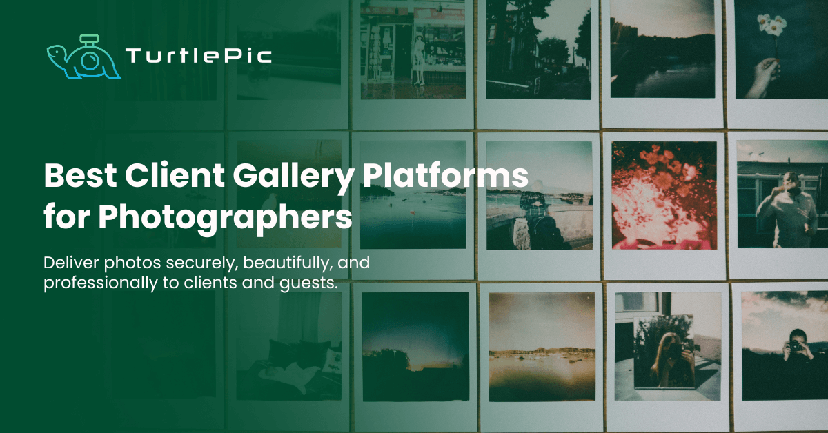 Best Client Gallery Platforms for Photographers