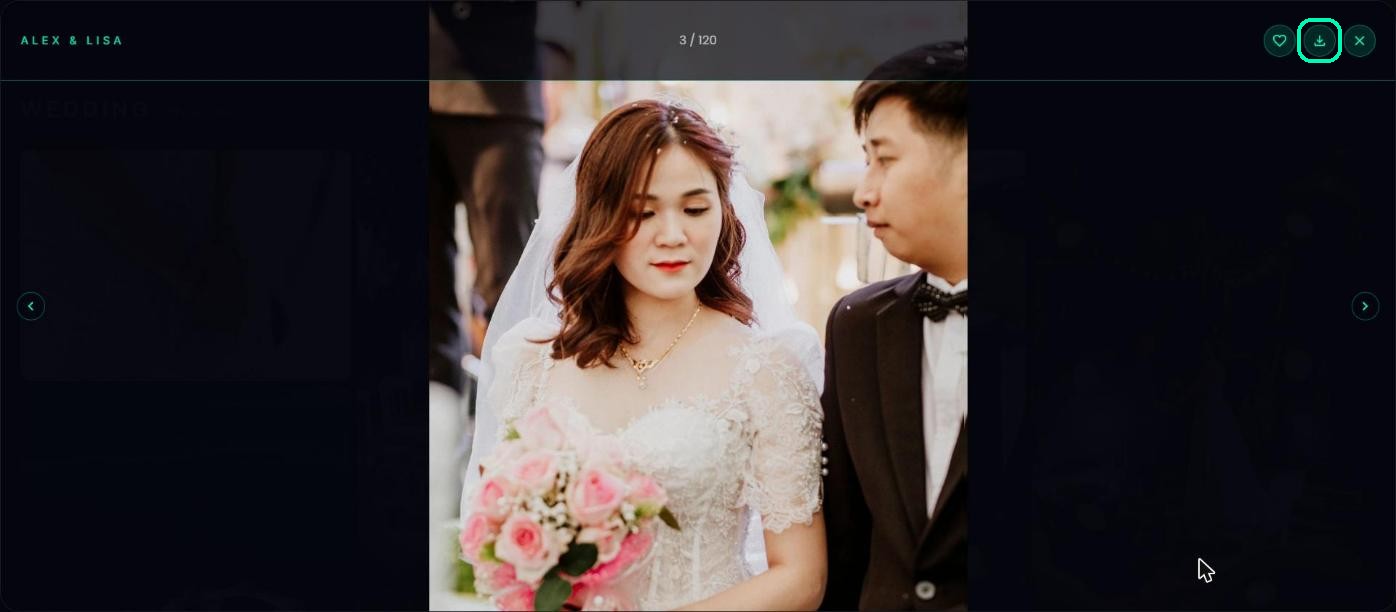 Download button on an open photo